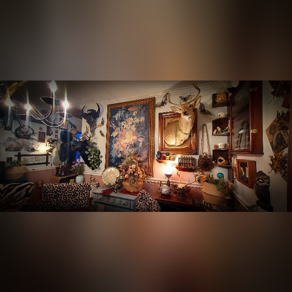 Meet your Posher, Courtney - Picture 4 of 8